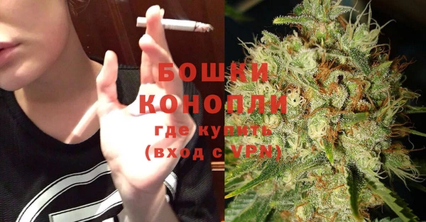 трава Кодинск