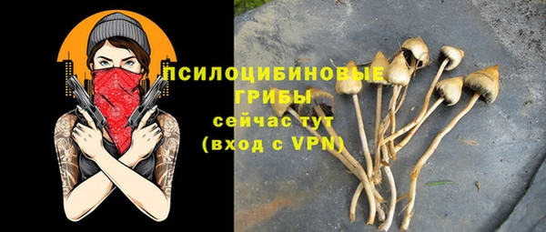 трава Кодинск
