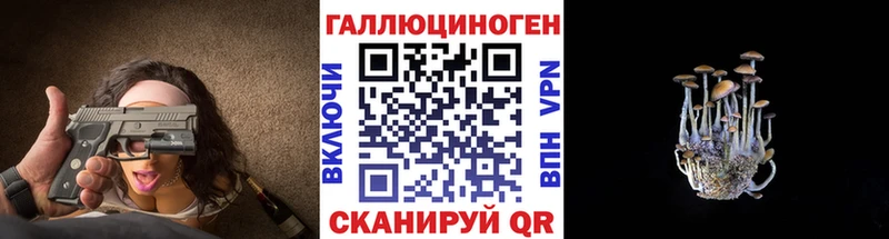 Галлюциногенные грибы GOLDEN TEACHER Купить где Раменское